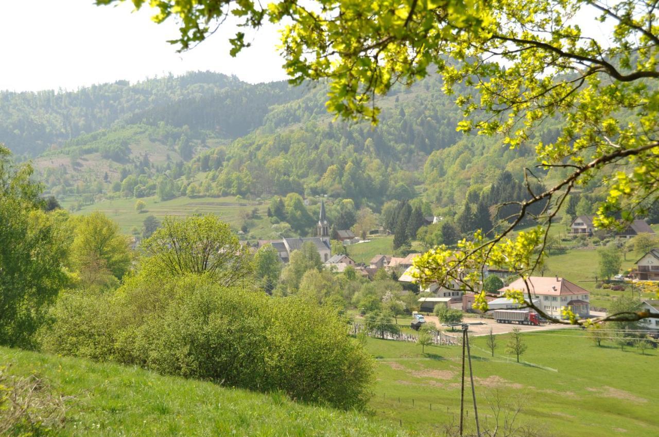Appartement à Mitzach Esterno foto